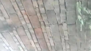 真高清全程漏出私处