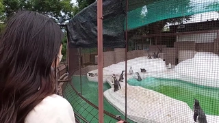 珍妮弗劳伦斯让你把精液吞下去，骚逼