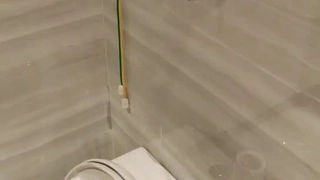 成人免费一区二区三区视频极品美丽御姐,全程情侣般的缠绵绝对不要错过