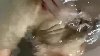巴西性爱录像带中的大鸡巴和高潮快感